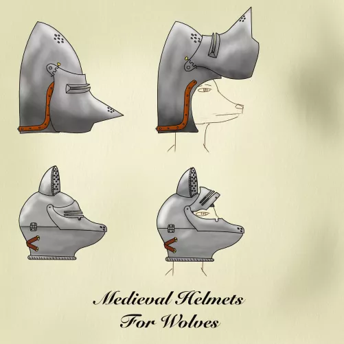 I was wondering what kind of helmets Furry knights would have worn. These are my concepts: