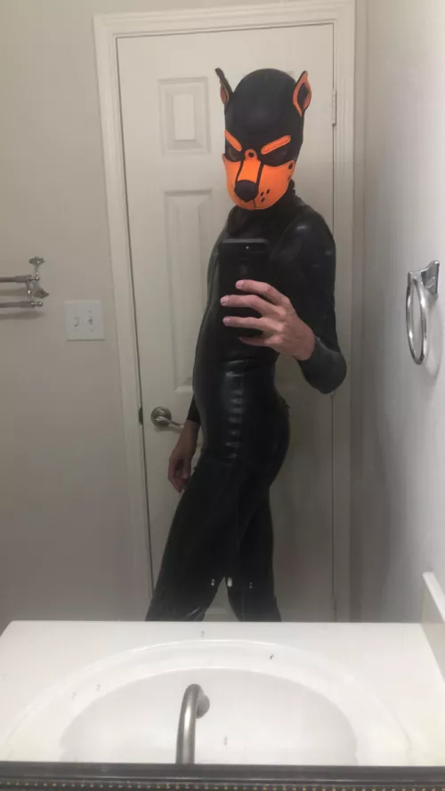 I’m a latex pup! 🐶