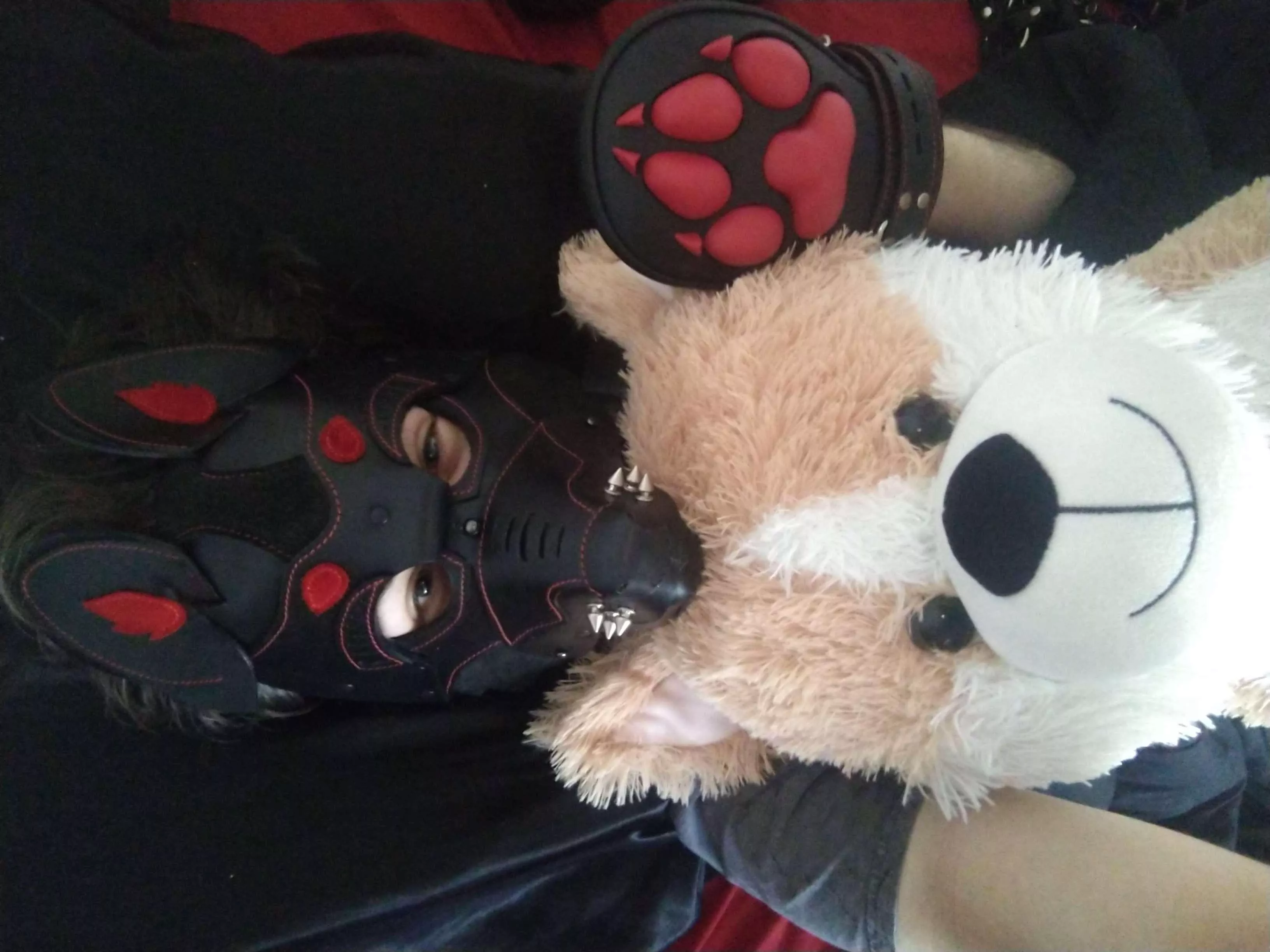 Just a sleepy pup snuggling his plush