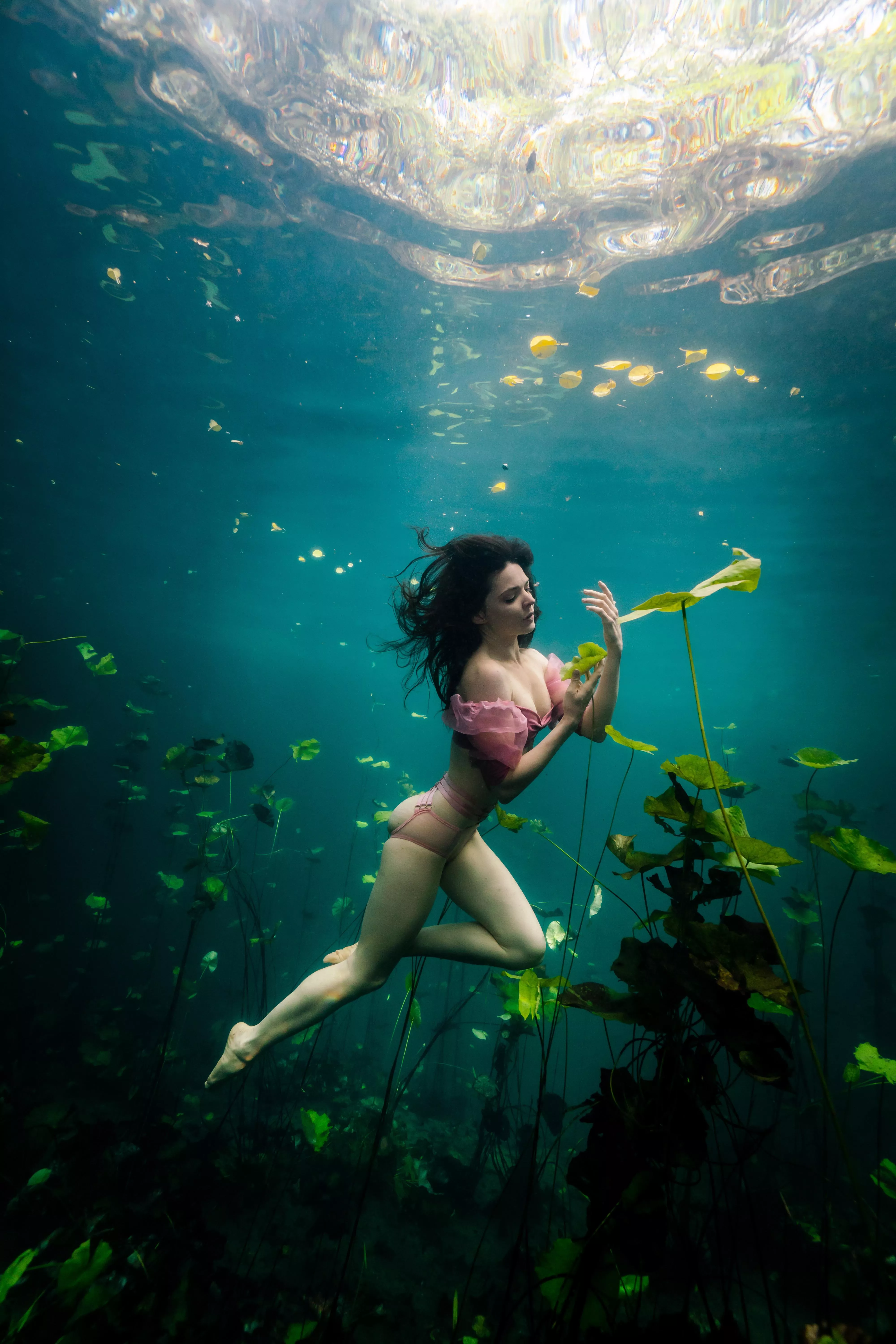 Kristy Jessica - Siren