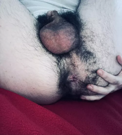 My ass is pretty insanely hairy haha