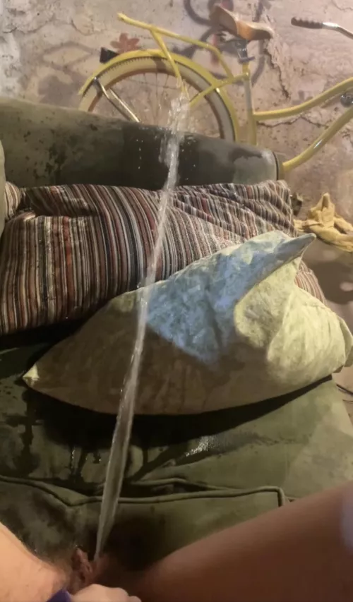 My pee went over the side of the couch
