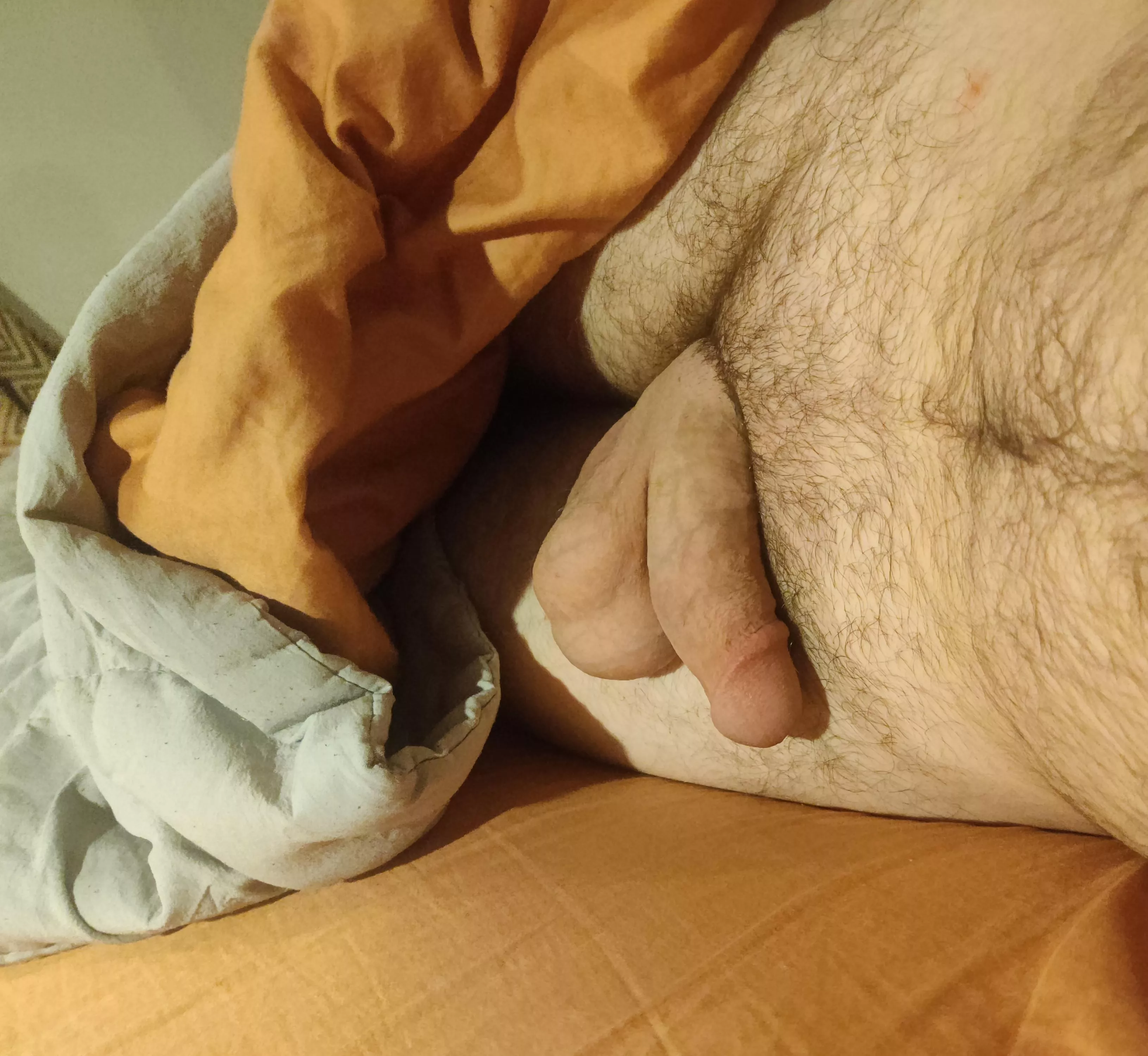 My view while I scroll Reddit in bed