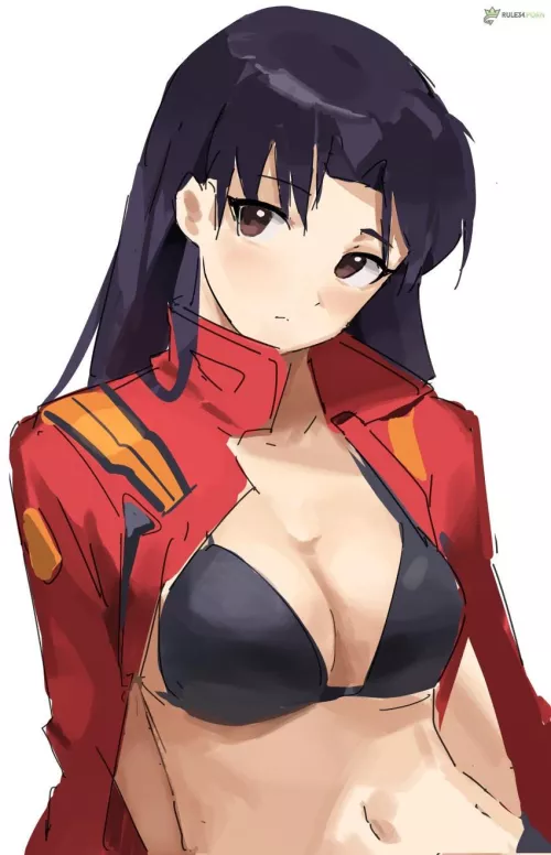 Rule 34 Misato Katsuragi Older Female Younger Male (MisatoKatsuragi) [Neon Genesis Evangelion]