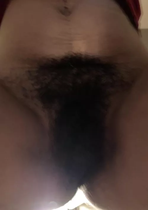 This is my view when my wife sits on my face