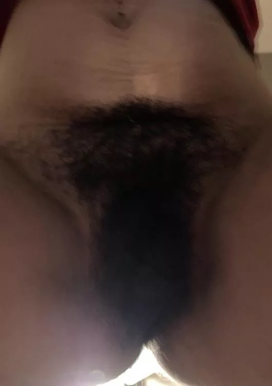 This is my view when my wife sits on my face