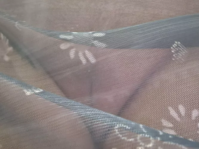 You can that tight pussy laying in wait