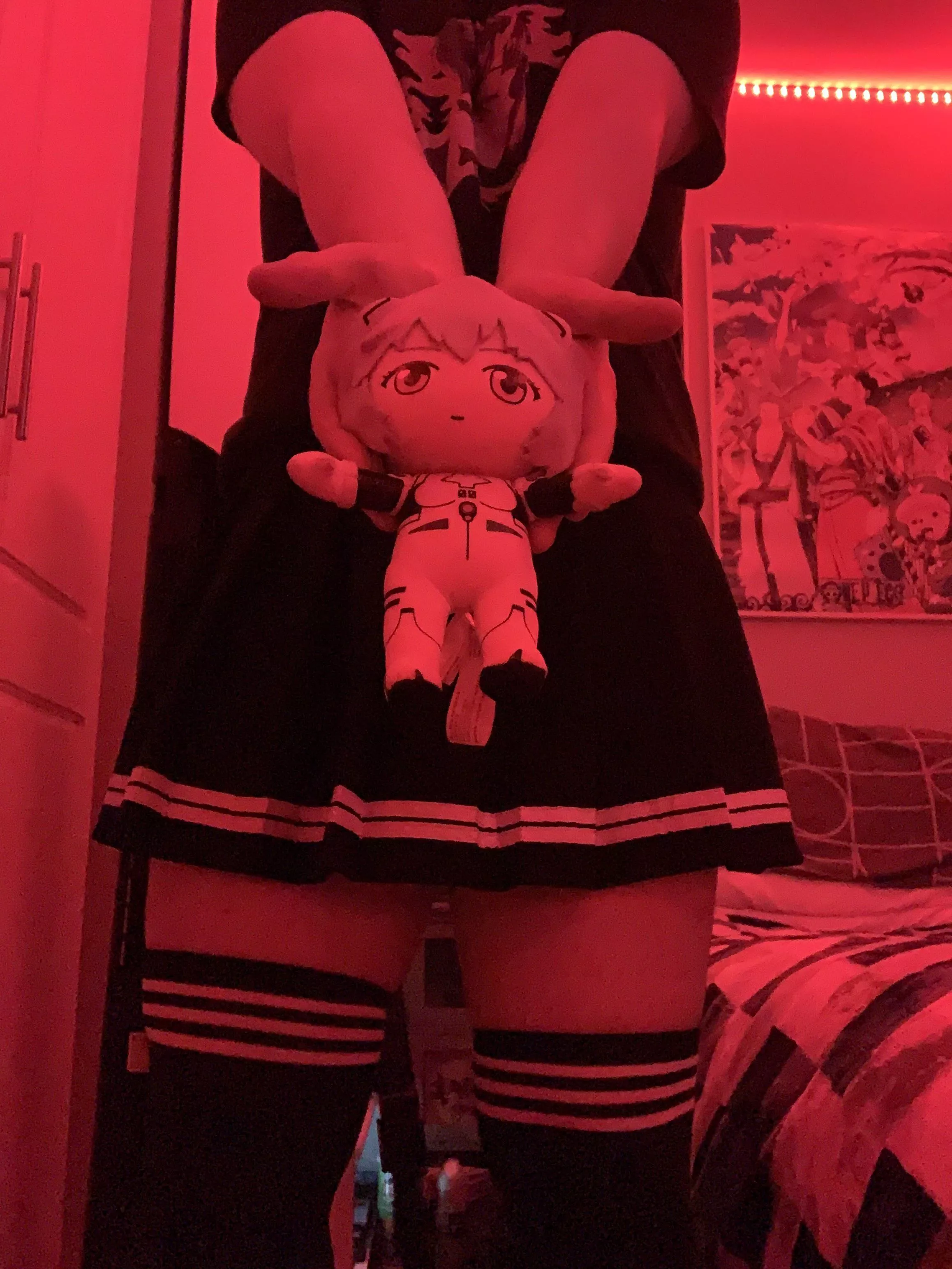 You have been offered plush , Do you accept ?