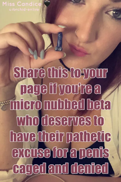 You know what to do beta, tell everyone that you’re packing a macaroni noodle in your khakis [Domme]