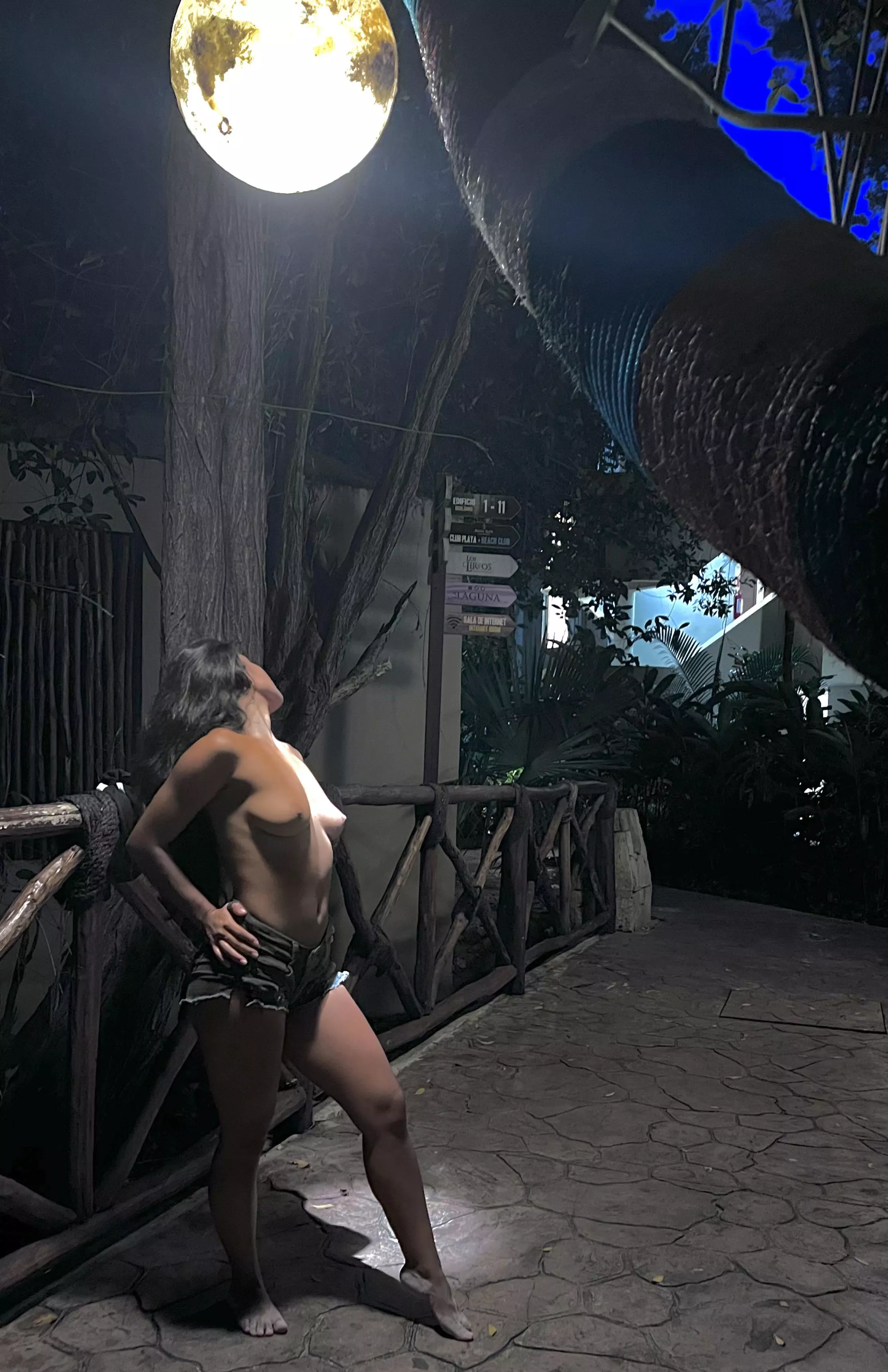 You wanna be my photographer?