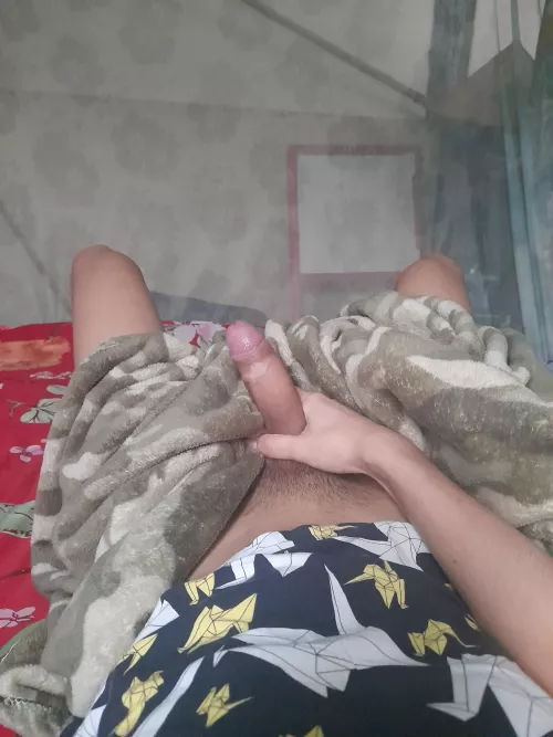 18 m Morning wood <3