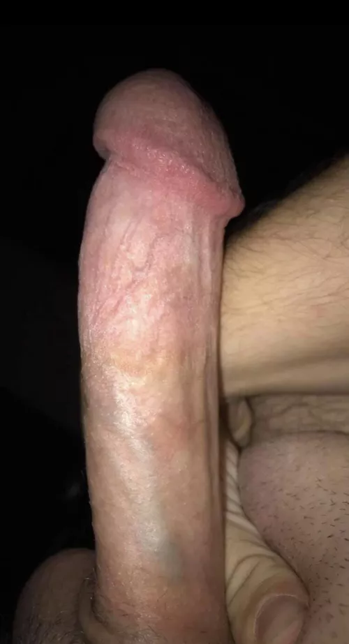 Anyone need a young stud?