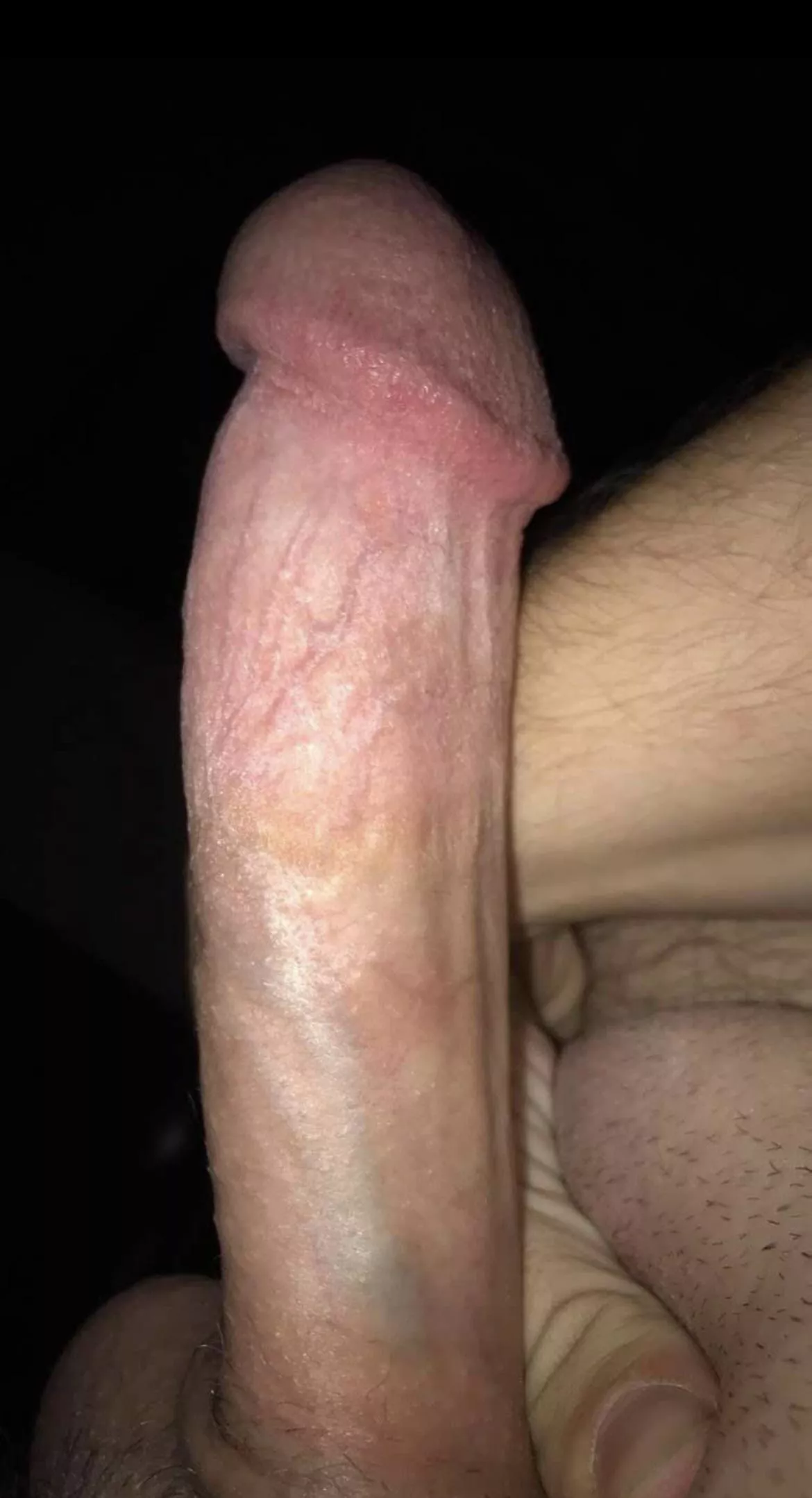 Anyone need a young stud?