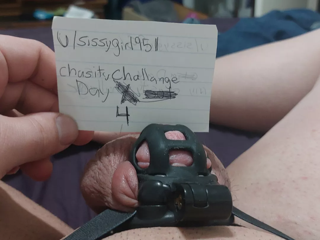 Daily chastity verification day 4 out of ?