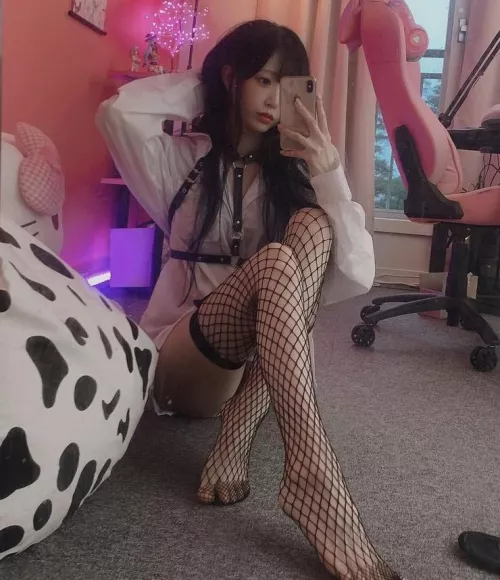 Fishnet stockings