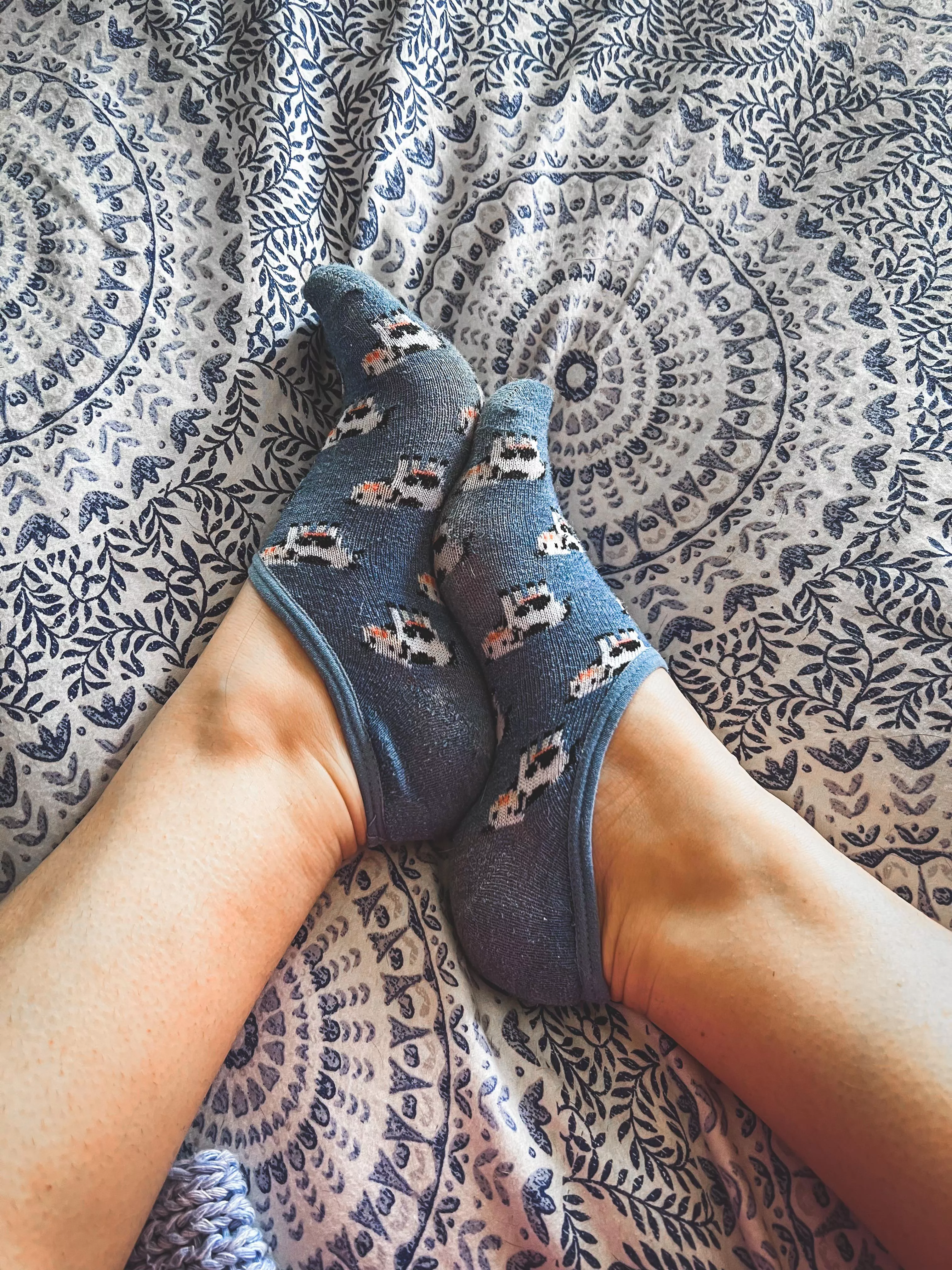 #FunSockFriday! Save a cow, eat your Turkey leftovers!