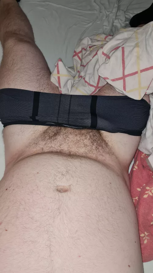 German bottom bear here