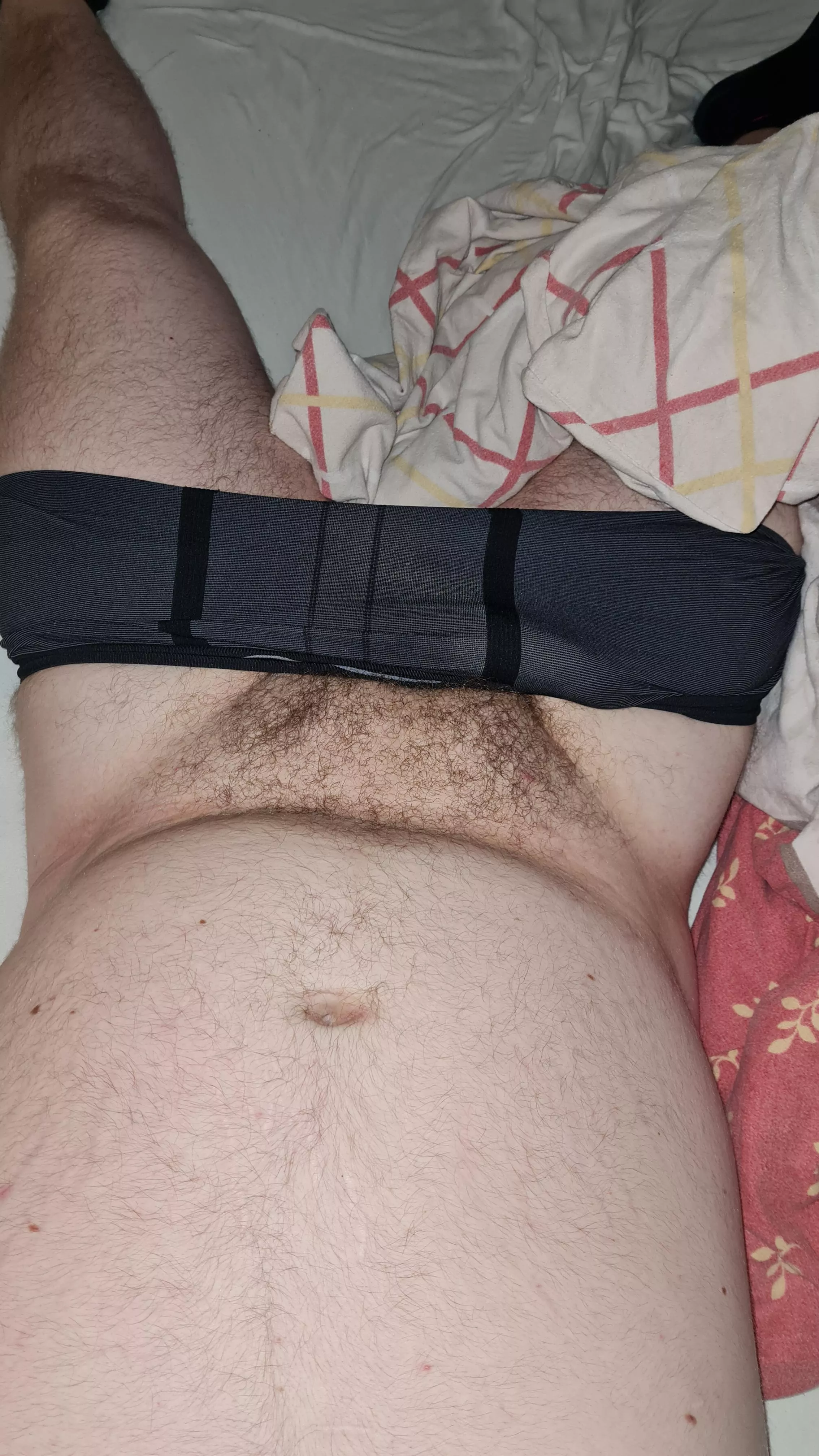 German bottom bear here