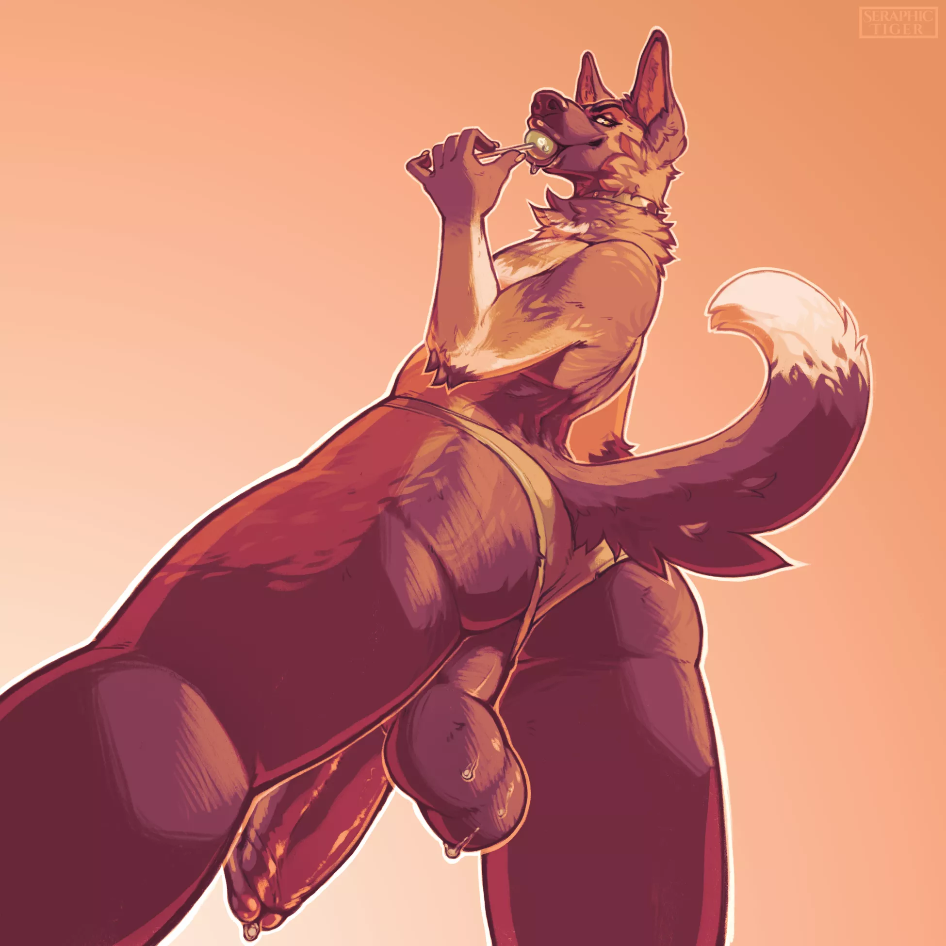 Great Angle (Rokemi)