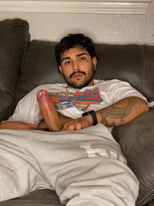 I never got to stuff anybody this thanksgiving can i stuff you?