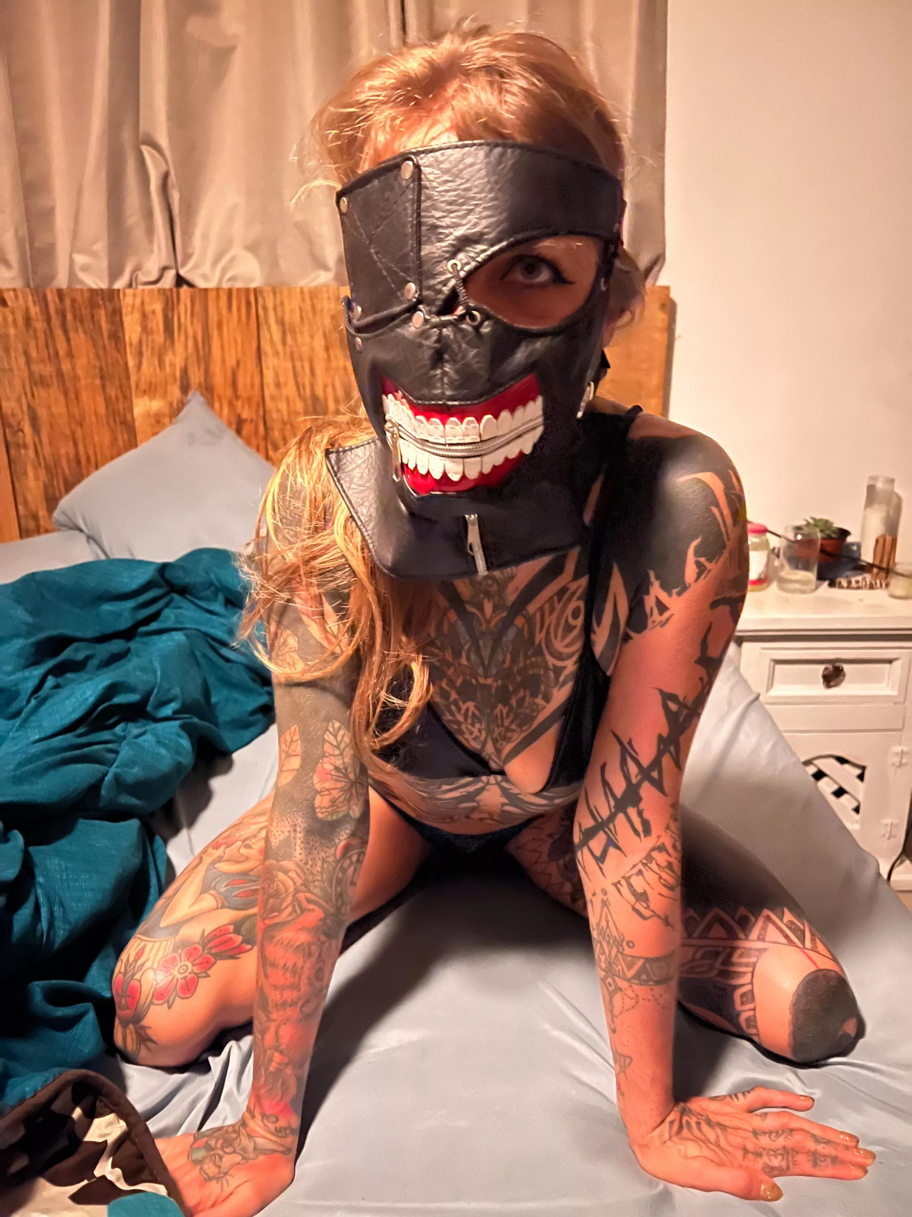 I’m not a pet I’m a wild animal you’ll have to be rough with me