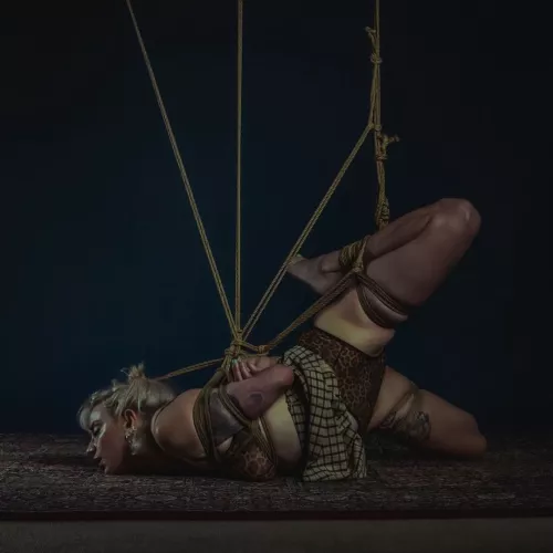 I'm ready to tied you up