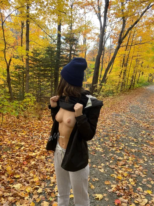 It was a nice walk in the forest