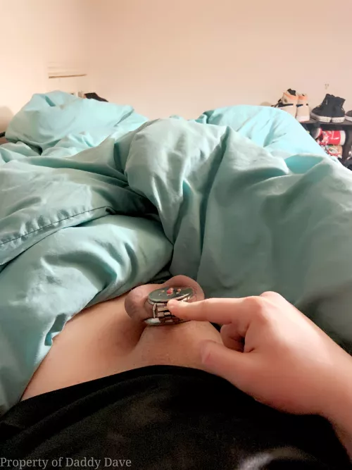 Lucie doing her mandatory morning verification😉