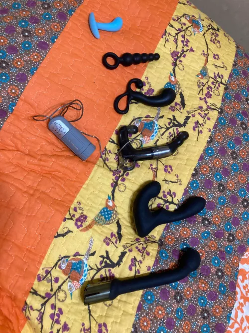 [M46] which toy should I experiment with 1st tonight?