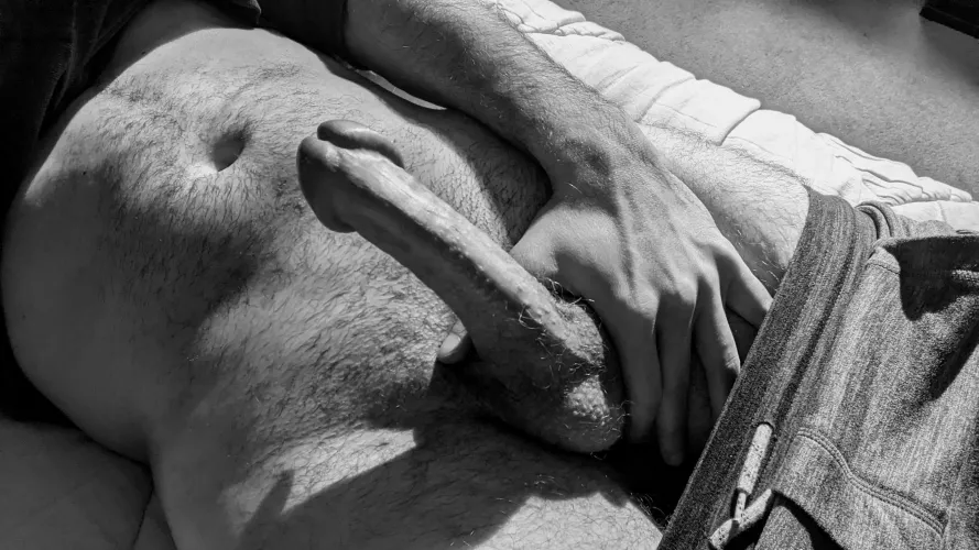 [M]orning wood for your enjoyment