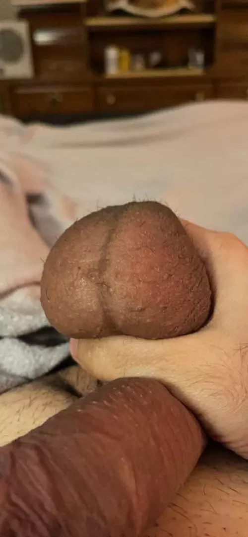 Need my balls sucked an played with