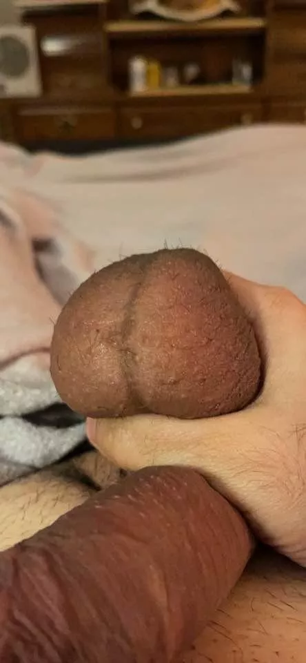 Need my balls sucked an played with