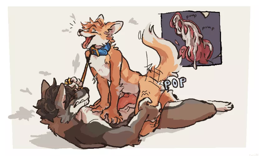 Pop! (furvidd)