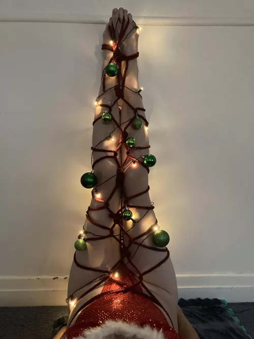 Put up the Xmas tree