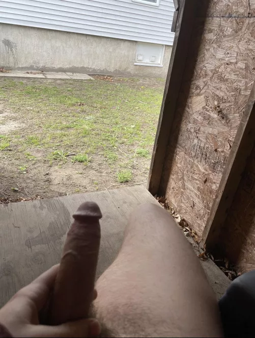 Sit on it and let’s give them a show