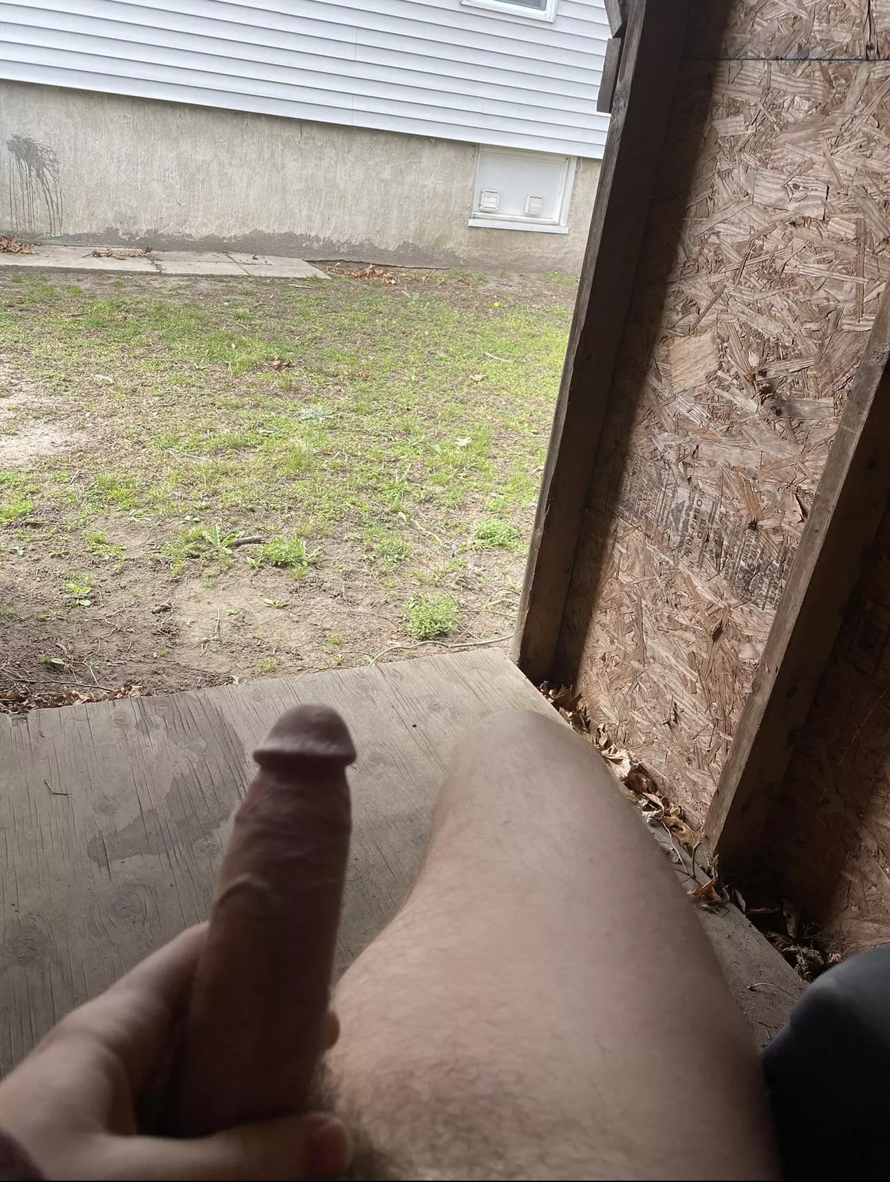 Sit on it and let’s give them a show