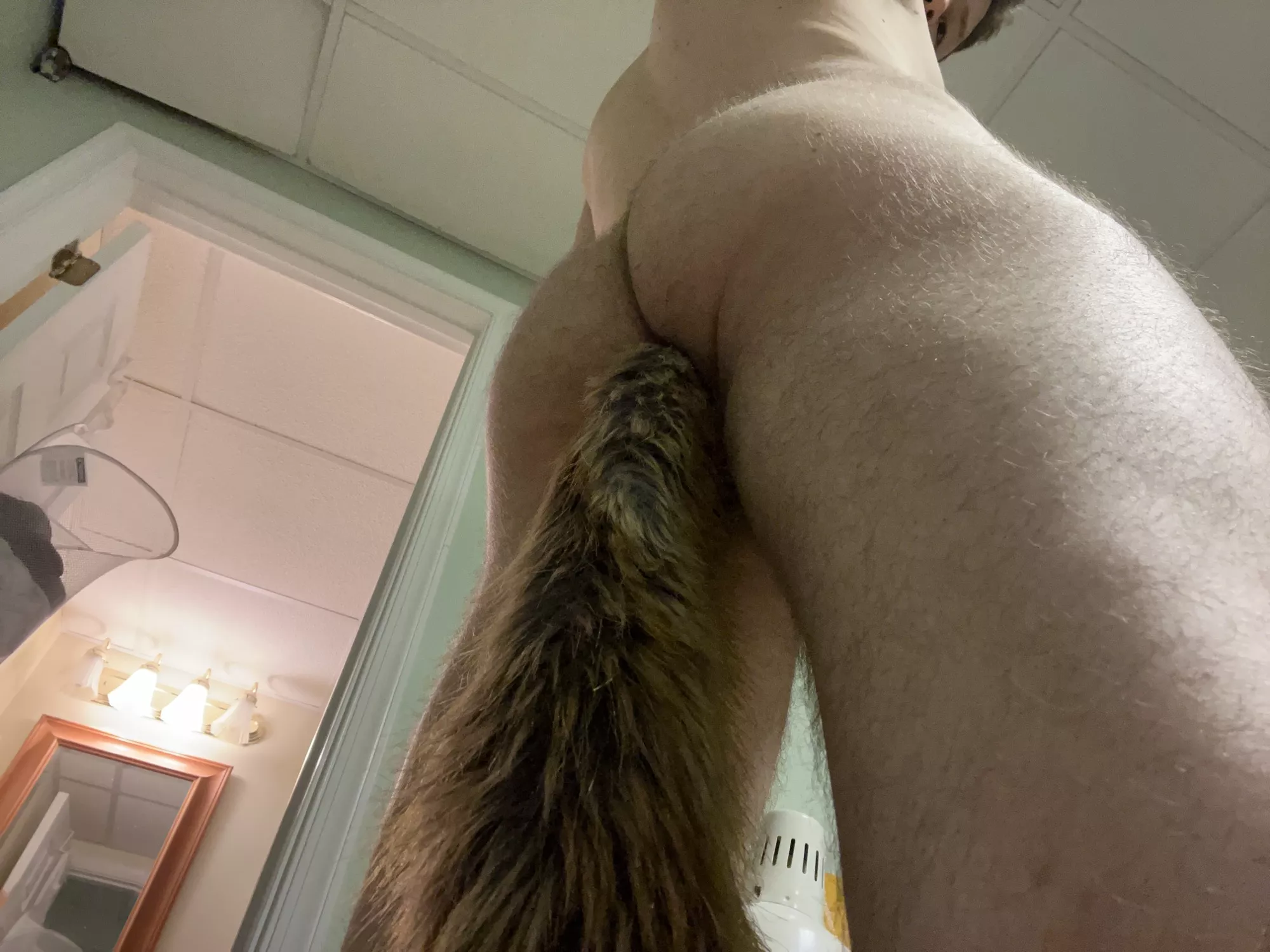 This fox will hunt you down, take what is his, and leave you wanting more