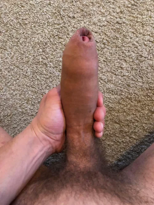 Uncircumcised American guy here, I love my foreskin. Couldn’t imagine my cock without it!!!