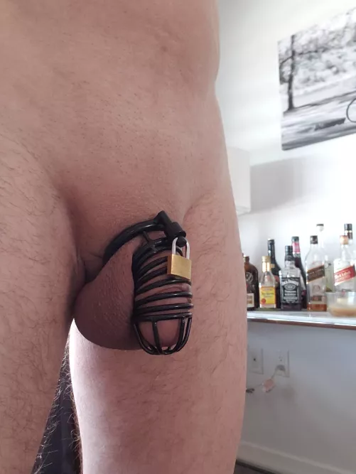 Wearing my new cage, and I love how it feels after the first 24 hours. For some reason, it just keeps me more aroused then my old CB6000S.