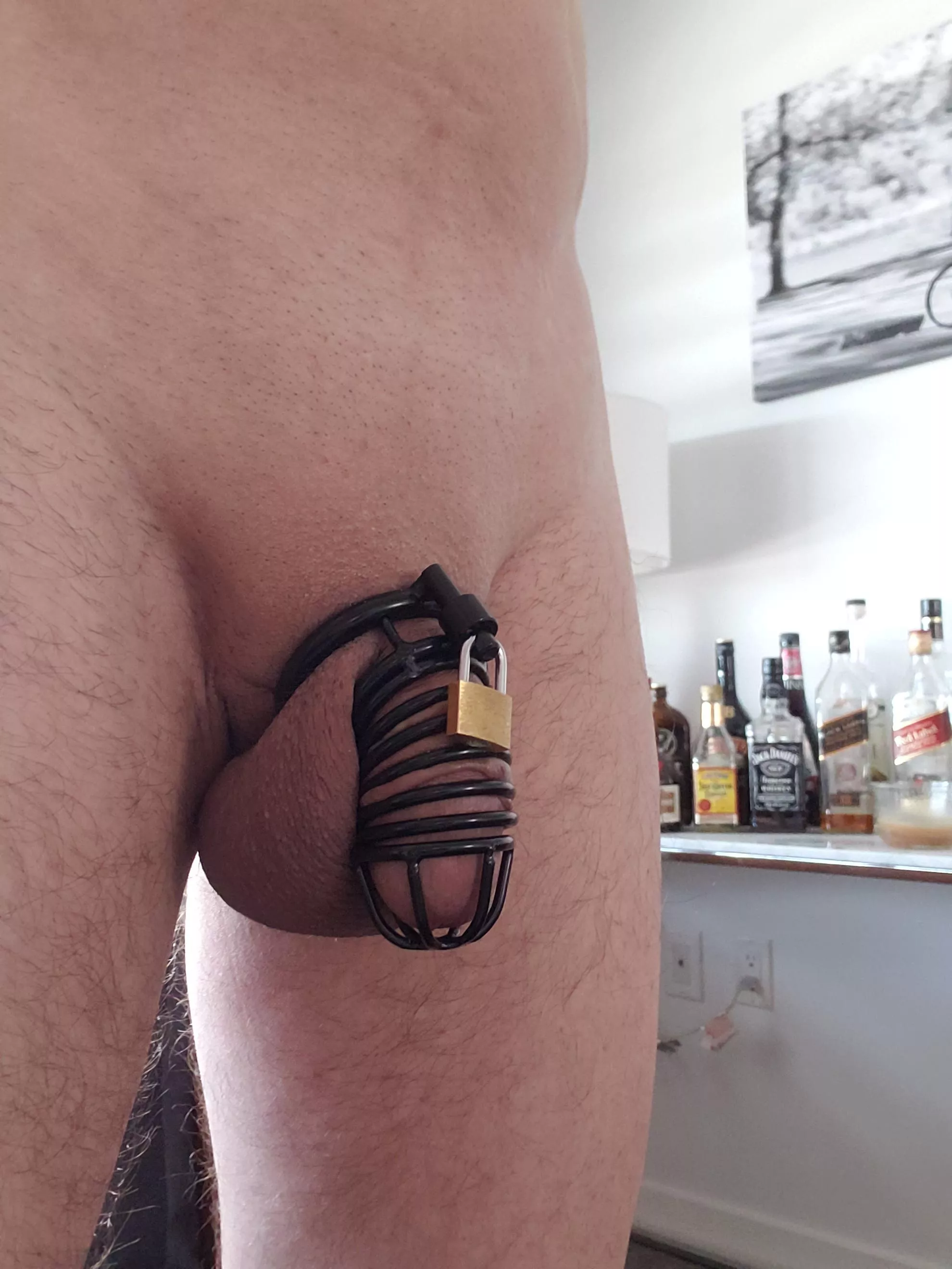 Wearing my new cage, and I love how it feels after the first 24 hours. For some reason, it just keeps me more aroused then my old CB6000S.