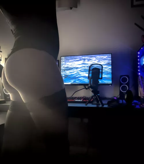 What would you rather play with?