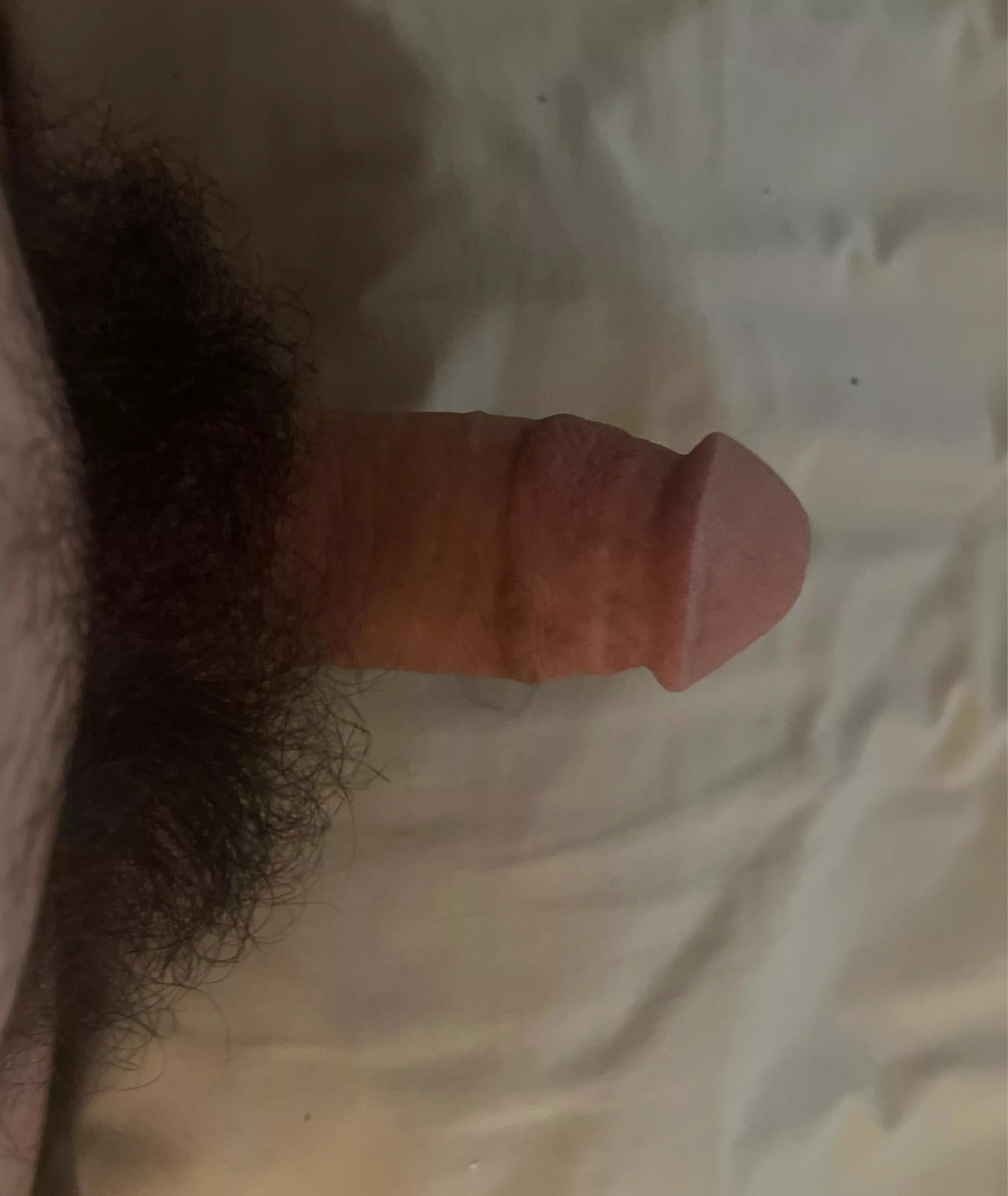 Who wants to bury their face in my pubes?