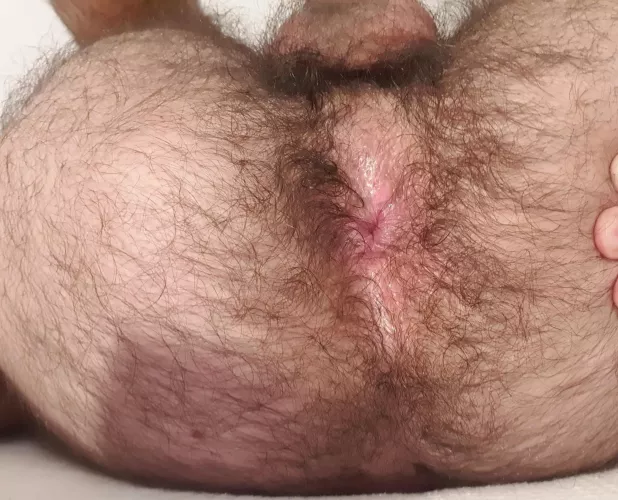 Would you pound my tight hairy hole?