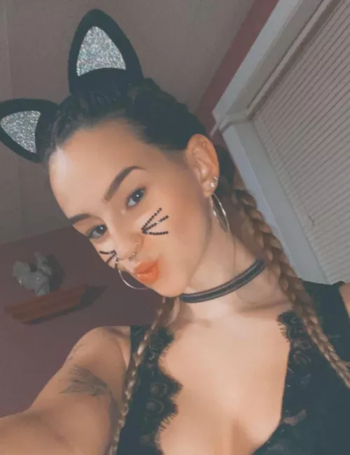 you are what you eat