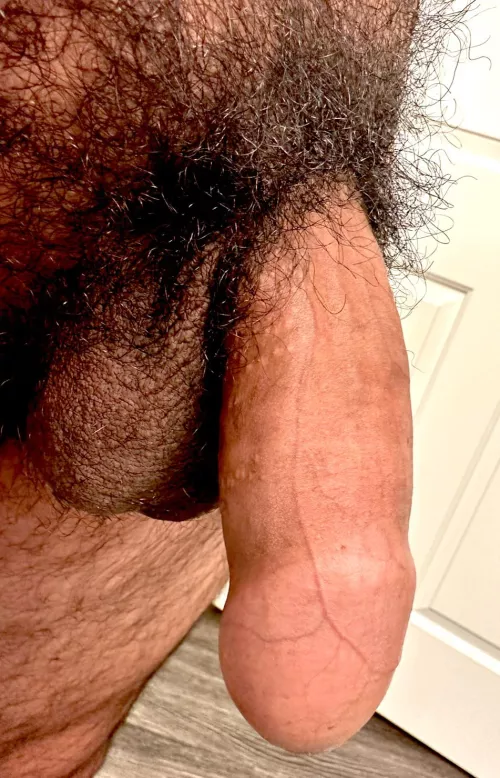 (38) just a bit bored. What to do?🤔