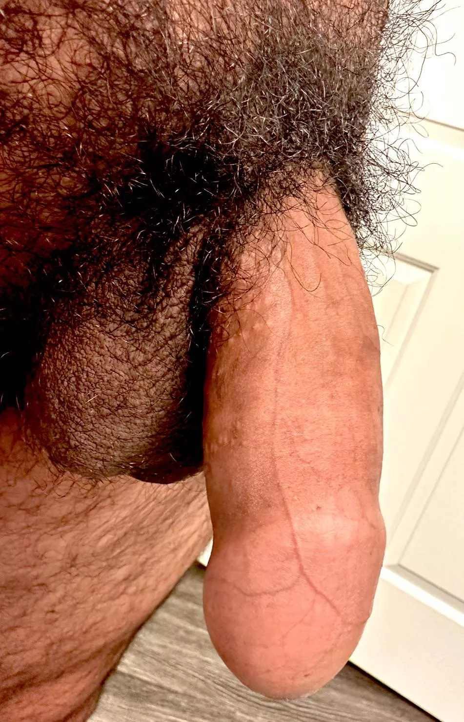 (38) just a bit bored. What to do?🤔