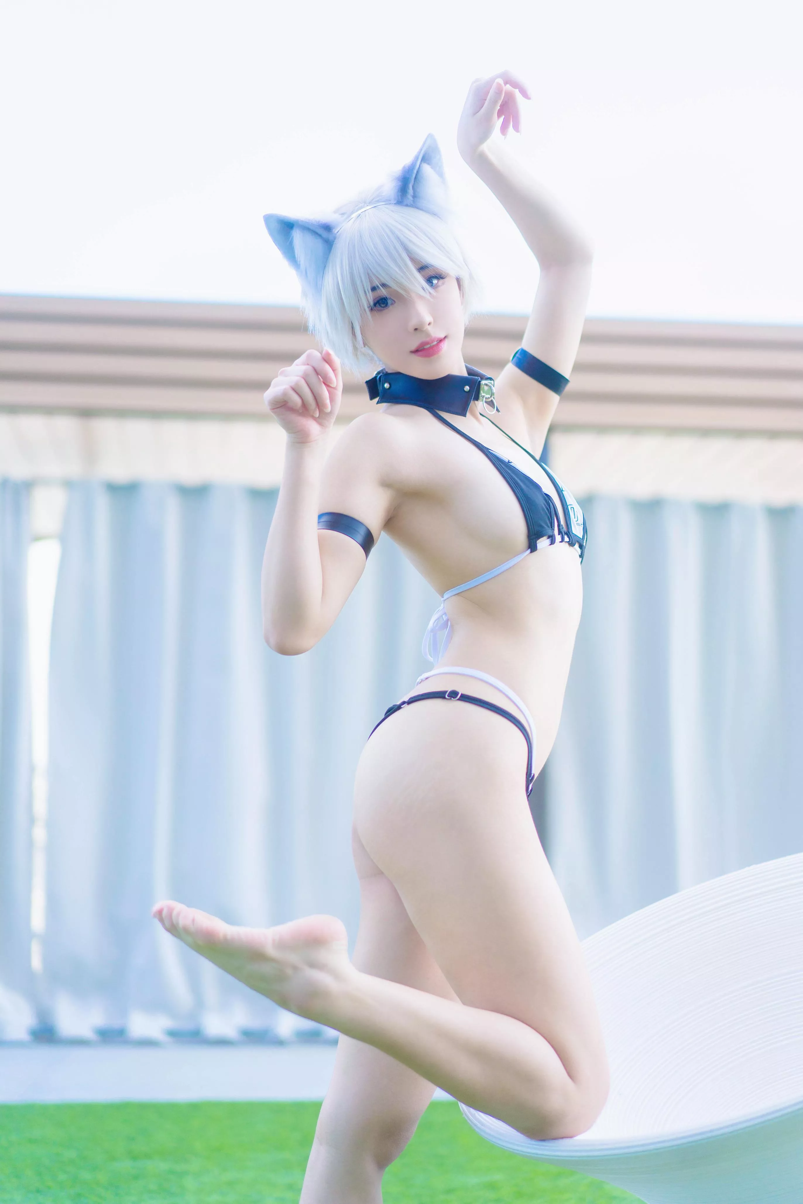 A wild neko appears