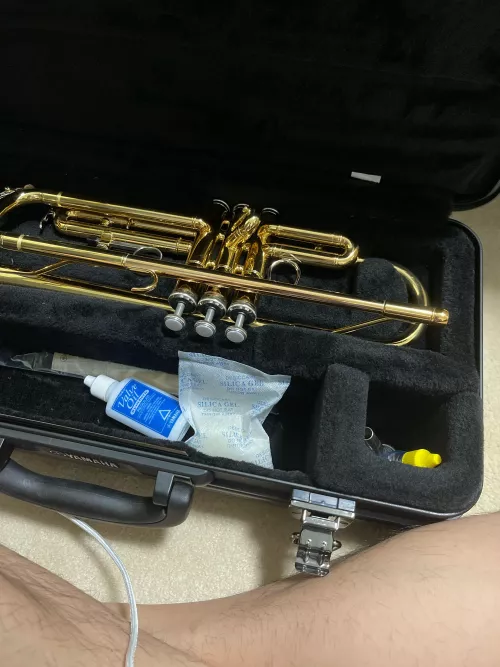 Anyone play brass instruments?