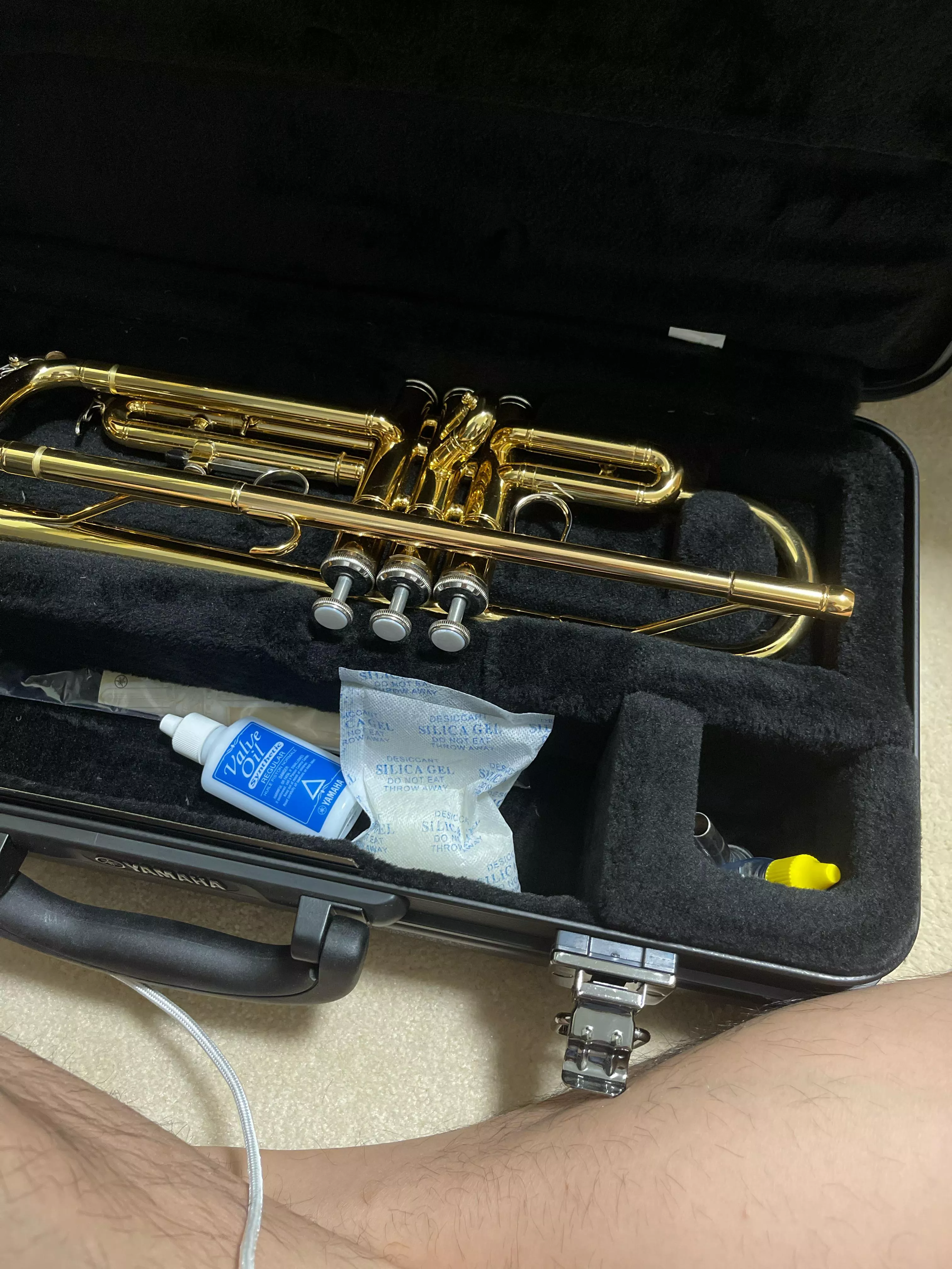 Anyone play brass instruments?
