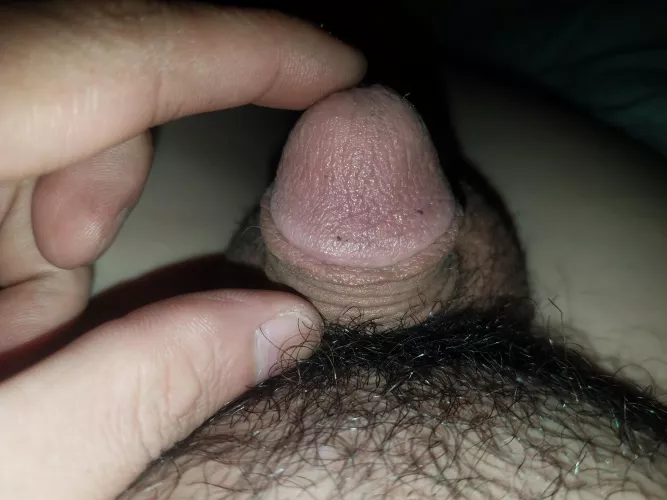 Anyone up for a size bet?